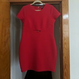 🔥Express🔥 Bodycon Dress